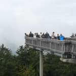 CLK-Ausflug: Ausblick vom Waldwipfelweg